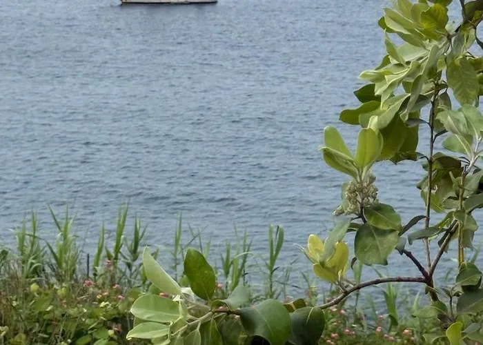 Holiday home Alma Do Mar - Soul Of The Sea